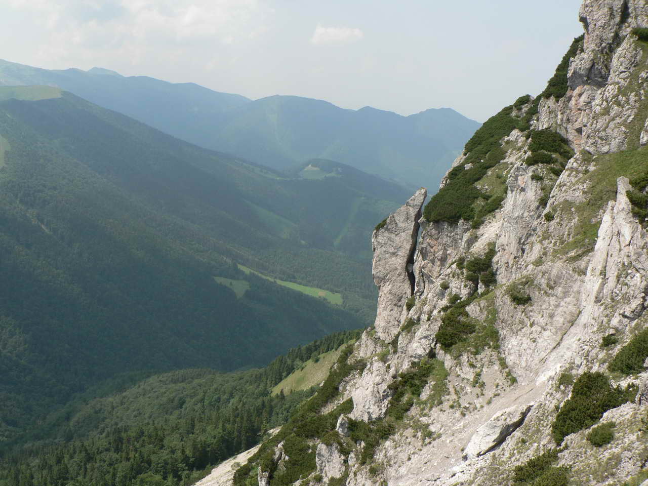 P1030866_resize.JPG