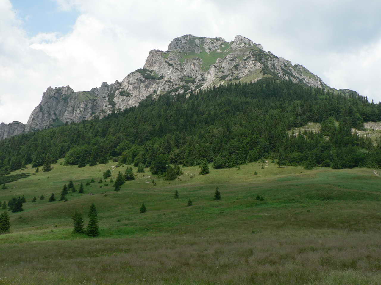 P1030879_resize.JPG