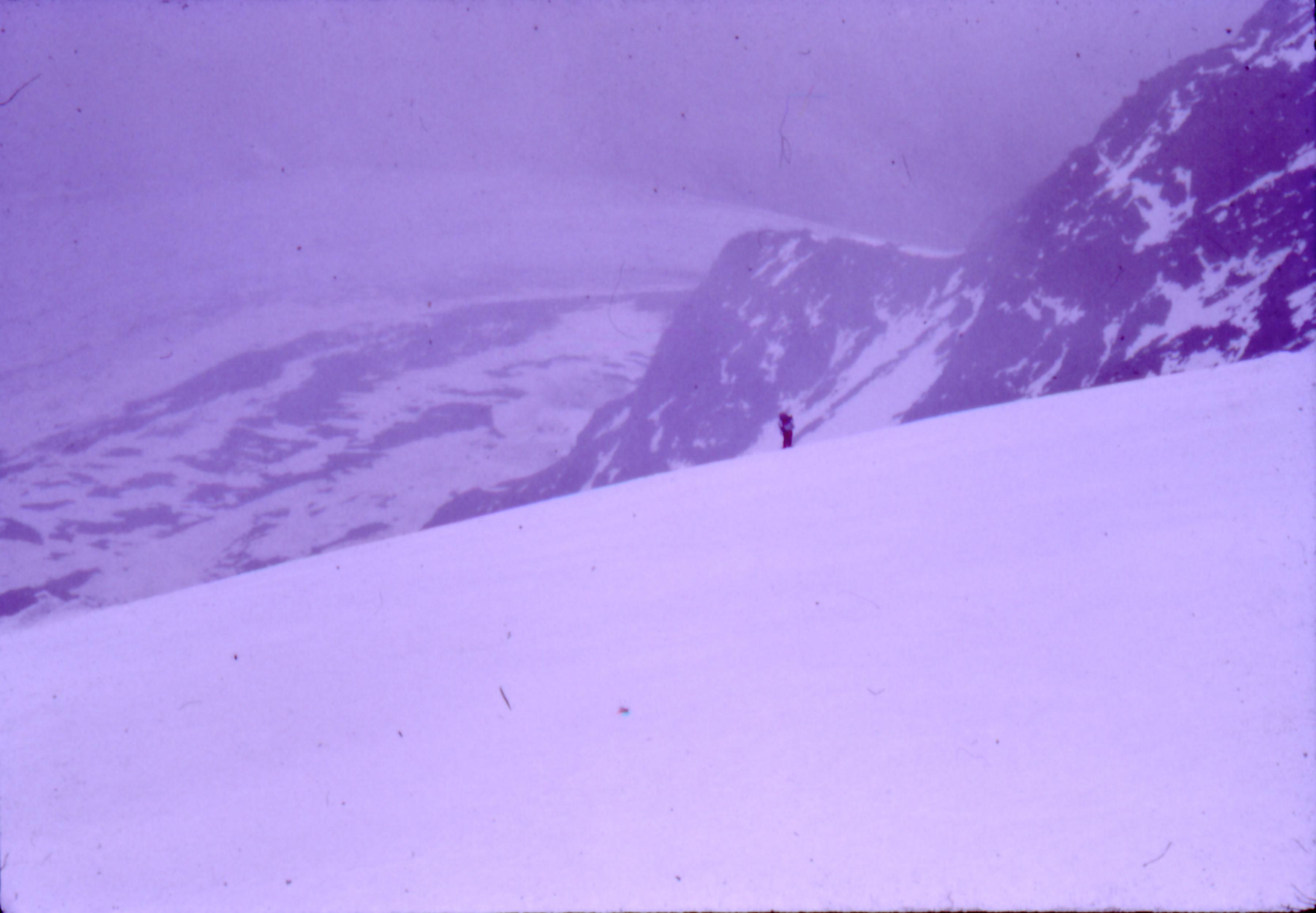Scan007.JPG