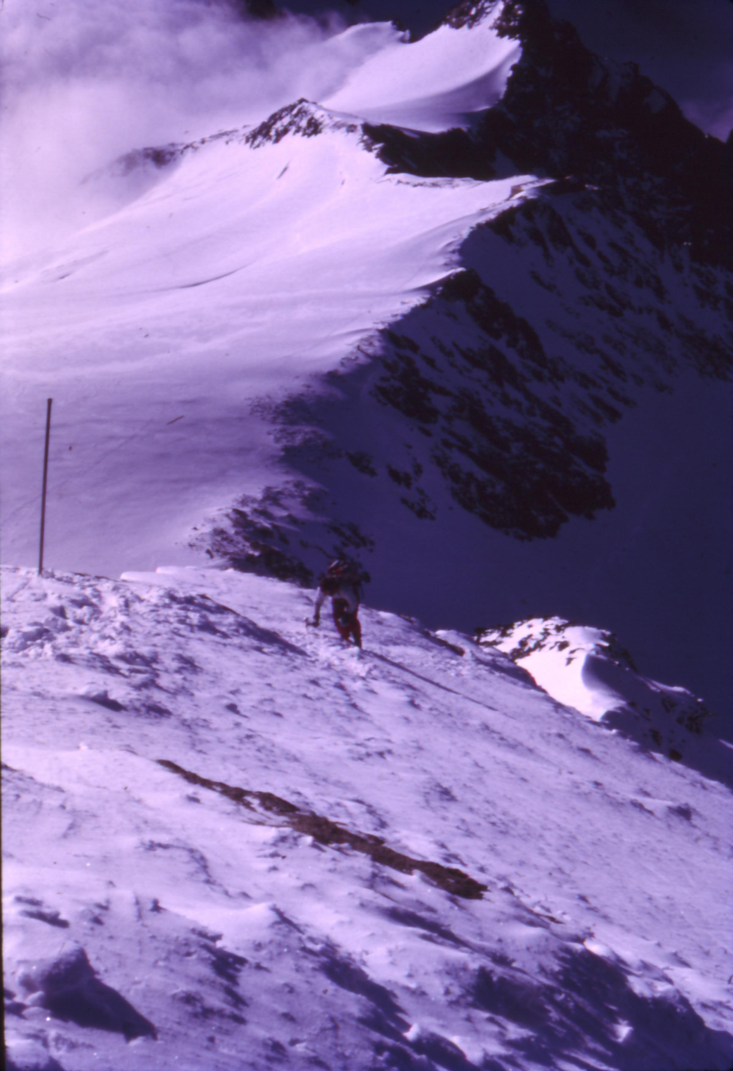 Scan010.JPG