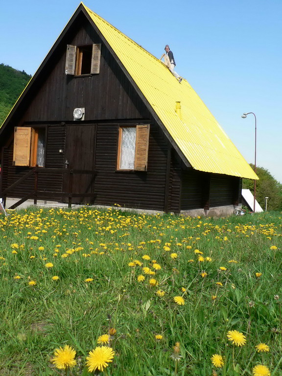 P1030023_resize.JPG