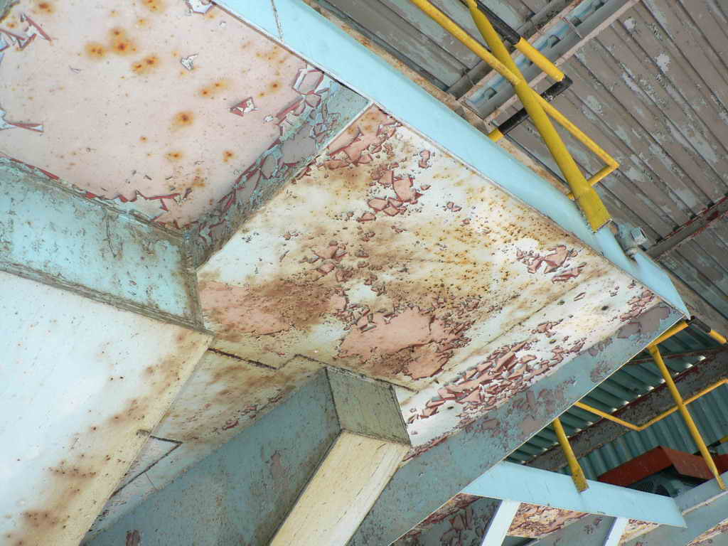 P1090548_resize.jpg