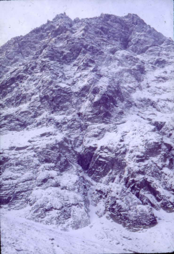 Scan10015_resize.JPG