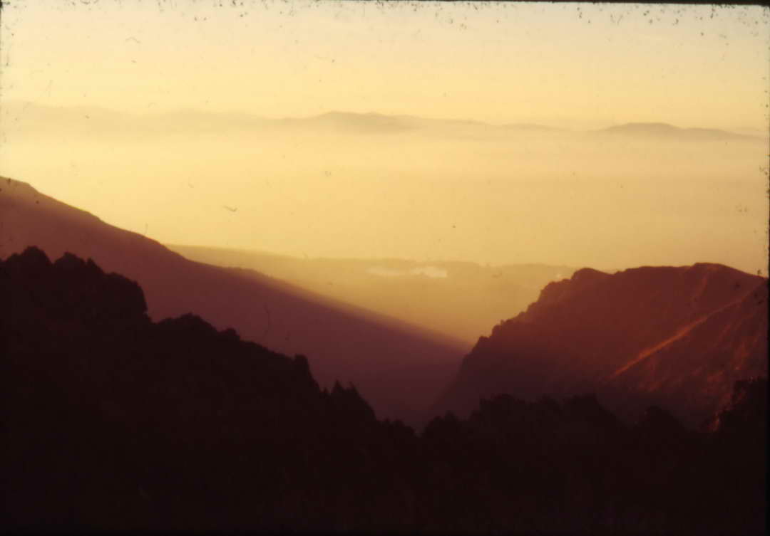 Scan10001_resize.JPG