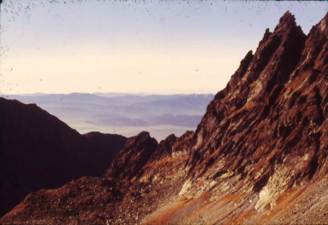 Scan10002_resize.JPG