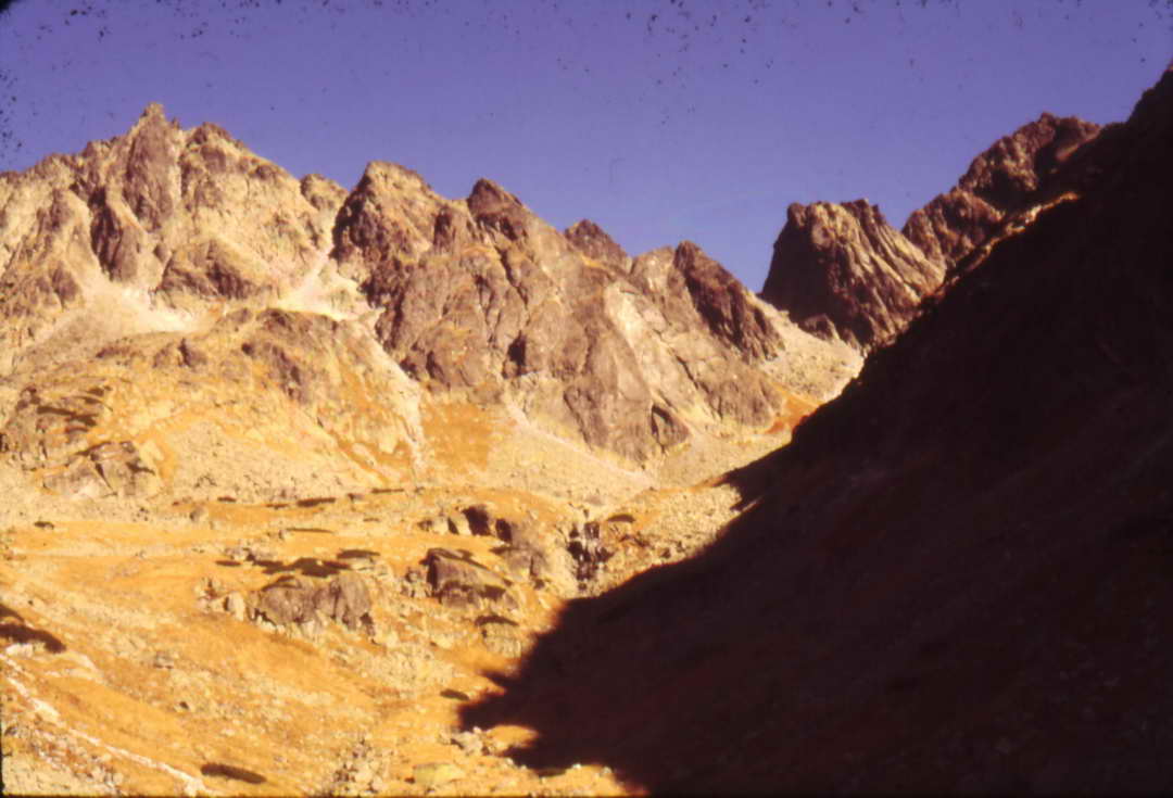 Scan10006_resize.JPG