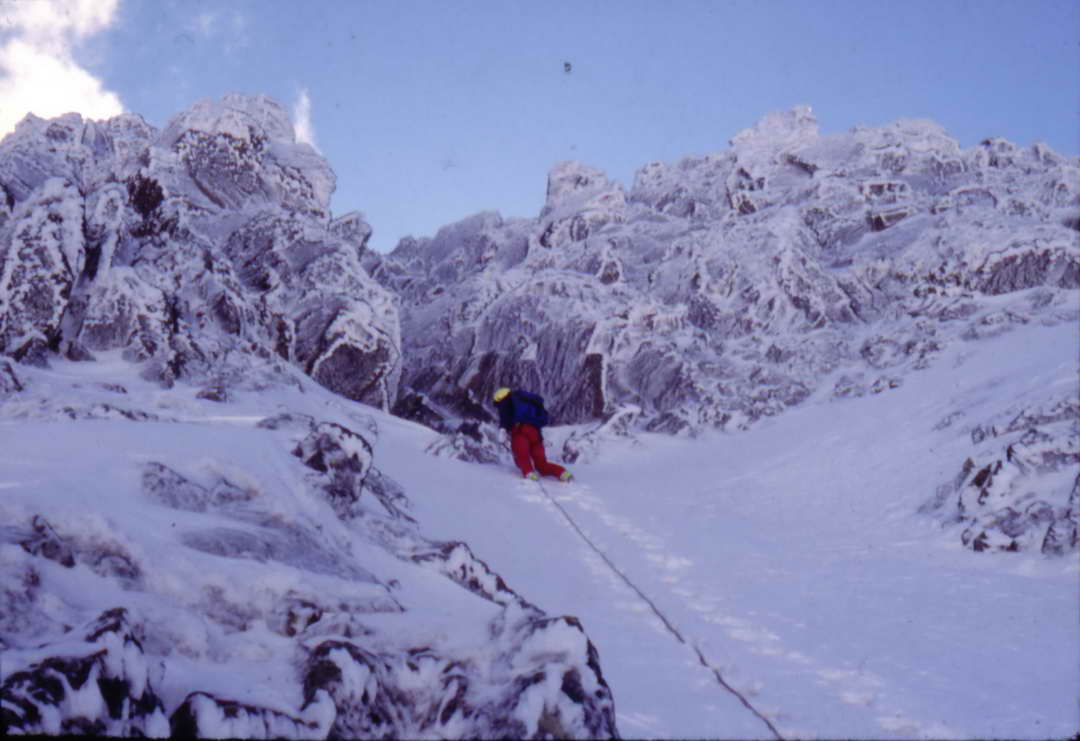 Scan10001_resize.JPG