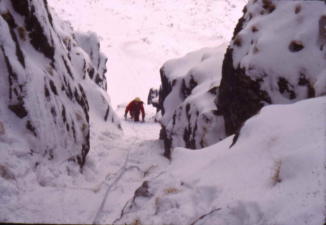 Scan10015_resize.JPG