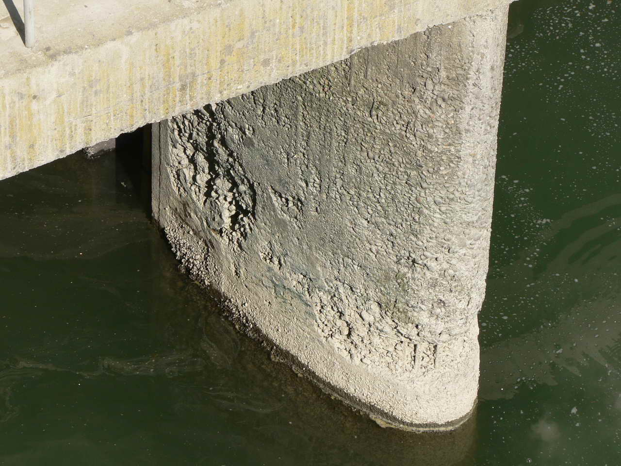 P1070668_resize.JPG
