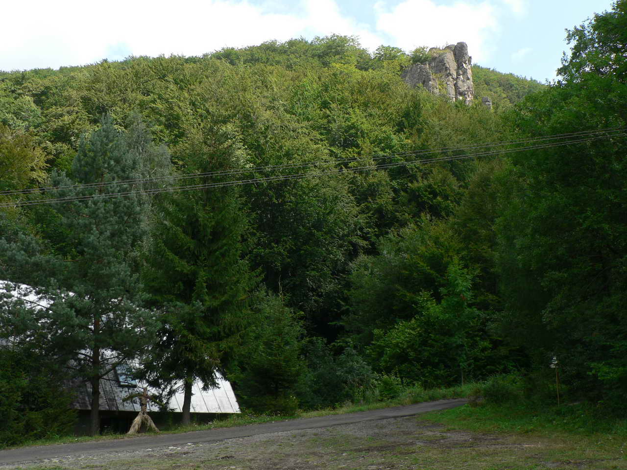 P1070399_resize.JPG