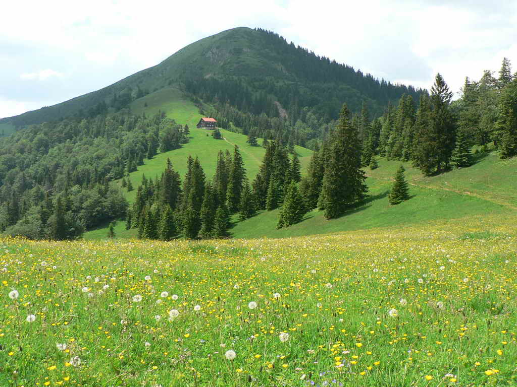 P1060635_resize.jpg