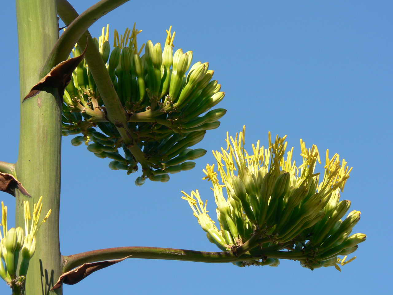 P1080277_resize.JPG