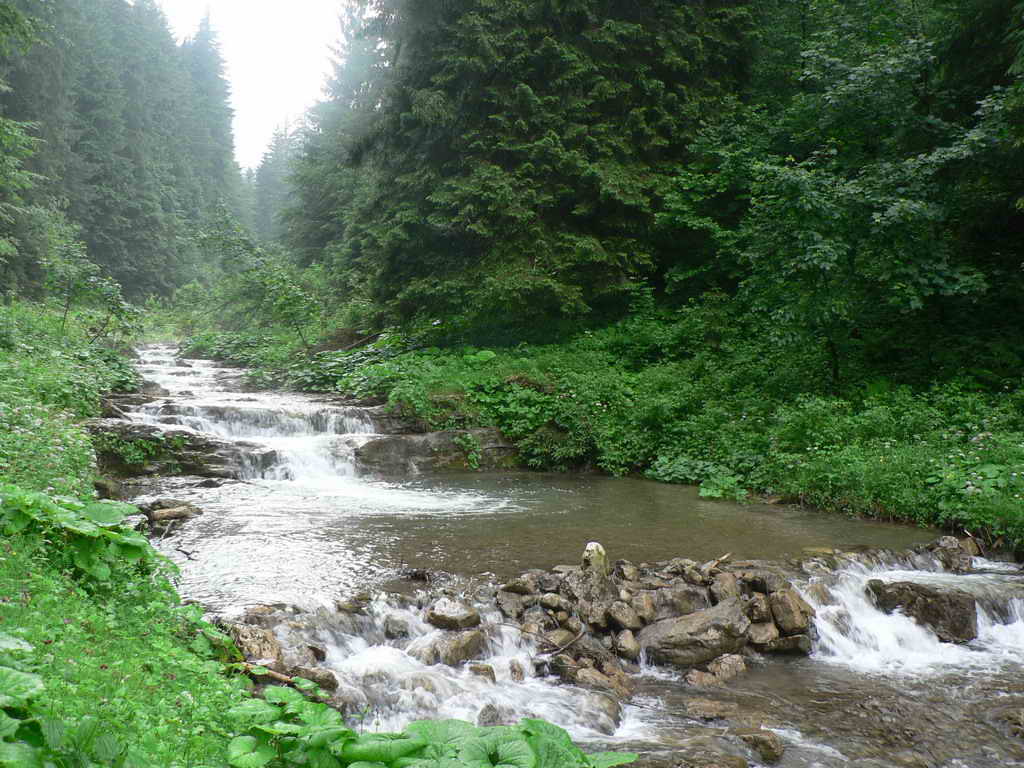 P1060661_resize.jpg