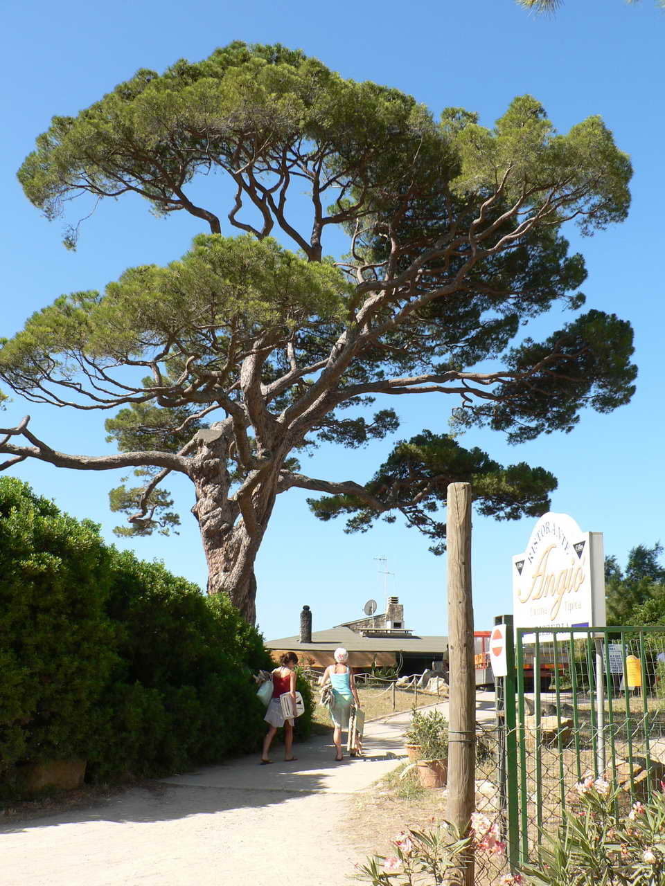 P1080386_resize.JPG