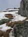 P1090260_resize.JPG