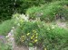 P1060683_resize.JPG