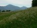 P1060687_resize.JPG
