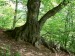 P1080208_resize.JPG