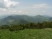 P1080228_resize.JPG