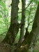 P1080238_resize.JPG