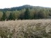 P1040808_resize.JPG