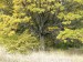 P1040814_resize.JPG