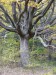 P1040816_resize.JPG