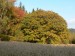 P1040860_resize.JPG