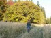 P1040872_resize.JPG