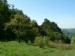 P1060382_resize.JPG