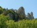 P1060386_resize.JPG