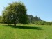 P1060403_resize.JPG