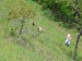P1060437_resize.JPG