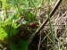 P1060440_resize.JPG