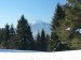 P1000234_resize.JPG
