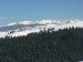 P1000258_resize.JPG