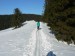 P1000268_resize.JPG