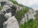 P1090339_resize.JPG
