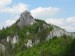 P1090347_resize.JPG