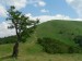 P1060632_resize.jpg