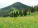 P1060635_resize.jpg