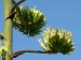 P1080277_resize.JPG