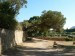 P1080279_resize.JPG
