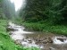 P1060661_resize.jpg