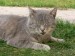 P1040683_resize.jpg